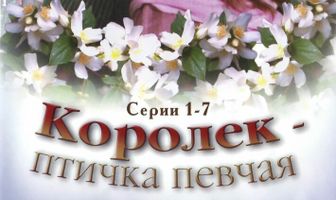 Королёк – птичка певчая