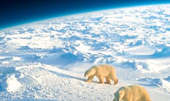 BBC: Планета Земля