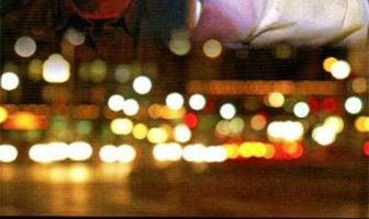 Чёрный дрозд