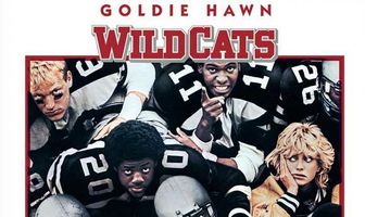 Дикие кошки