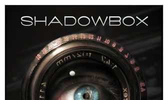 Застекленная витрина