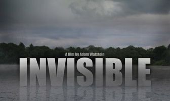 Invisible