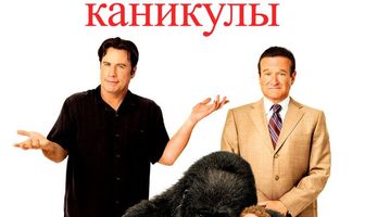 Так себе каникулы