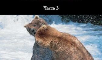 BBC: Борьба за выживание