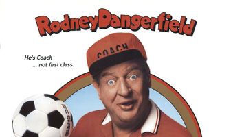 Божьи коровки