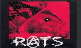 Rats