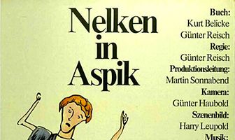 Гвоздики в целлофане