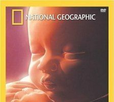 Life Before Birth