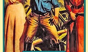Behind the Stockade