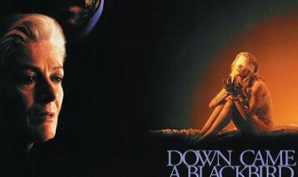 И спустился ворон