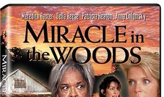 Miracle in the Woods