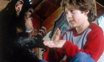 Проект Дженни