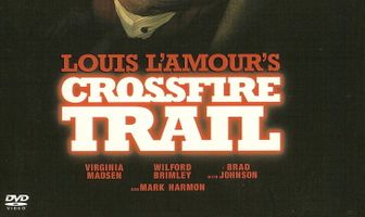 Под перекрестным огнем