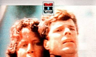 Police Story: Cop Killer