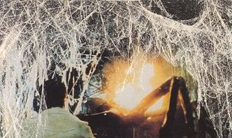 Проклятие черной вдовы