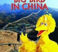 Big Bird in China