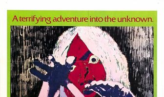 Тень ястреба