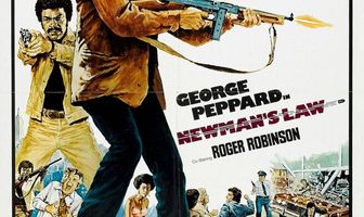 Закон Ньюмена