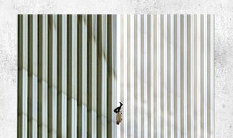 9/11: Падающий человек