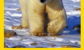 Arctic Kingdom: Life at the Edge