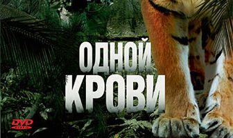 Одной крови