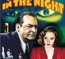 Глаза в ночи