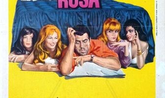 Бело-красно-жёлтая  роза