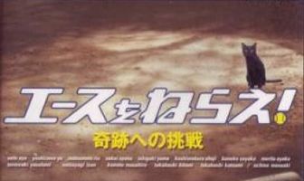 Подавай навылет! Вызов брошен