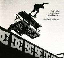 The DC Video