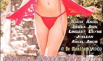 Dirty Little Vixens