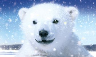 Большое путешествие полярных медведей