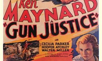Gun Justice