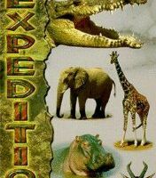 Expedition