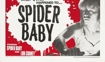 Паучонок, или Безумнейшая история из когда-либо расказанных