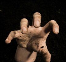 Окрестности Вавилона