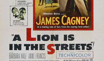 Лев на улицах города