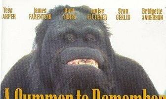 A Summer to Remember