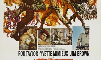 Темнота солнца