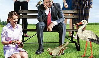 Птицы Америки