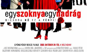 Одна юбка, одни брюки