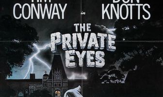 Частные сыщики