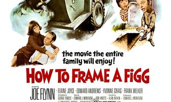 How to Frame a Figg
