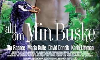 Всё о моём кусте