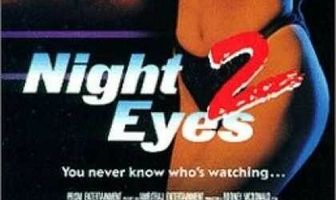 Ночное наблюдение 2