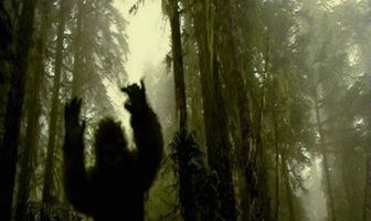 Scream of the Sasquatch