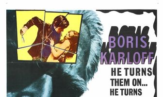 Волшебники