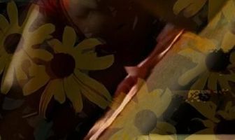 Flowers Don't Last