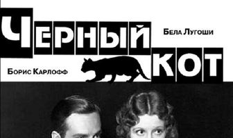 Черный кот