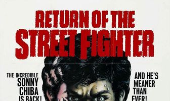 Возвращение уличного бойца