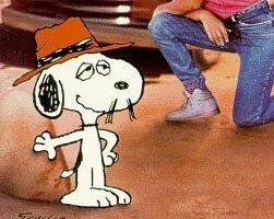 Это девушка в красном грузовике, Чарли Браун